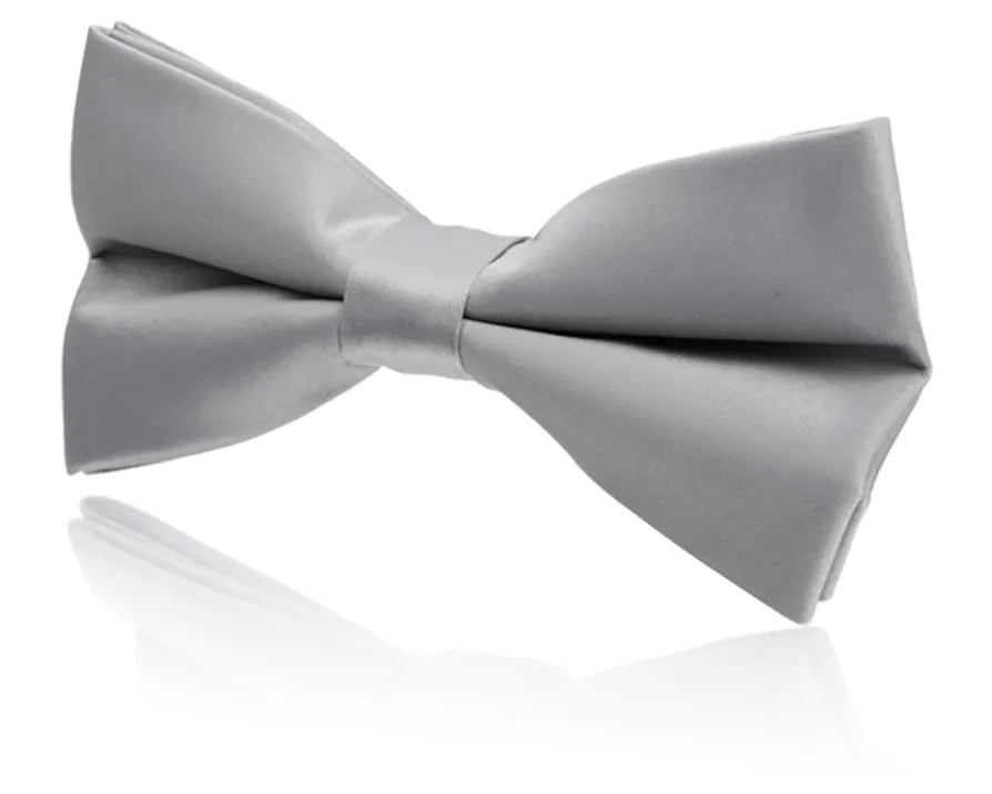 Vorgebundene silberfarbene Fliege für Jungen 
