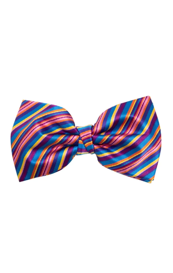 Dobell Fliege, Regenbogen