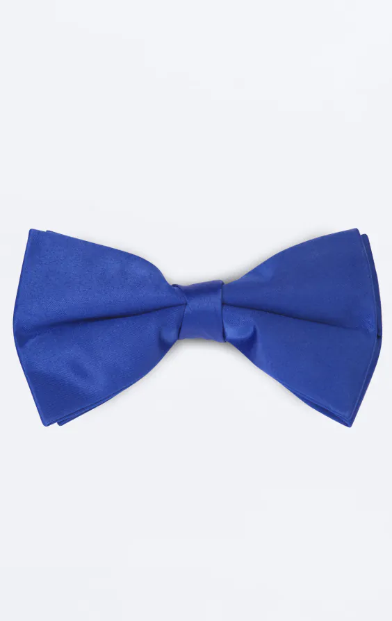 Königsblaue Fliege Königsblaue Fliege