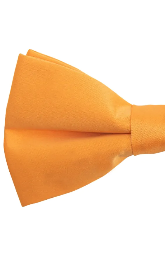 Orange Fliege - photo 1 Orange Fliege - photo 1