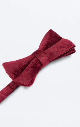 Dobell Samt Fliege, Bordeaux mit Paisleymuster