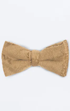 Dobell Samt Fliege, Gold mit Paisleymuster