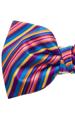 Dobell Fliege, Regenbogen