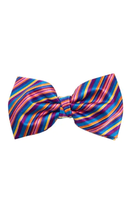 Dobell Fliege, Regenbogen